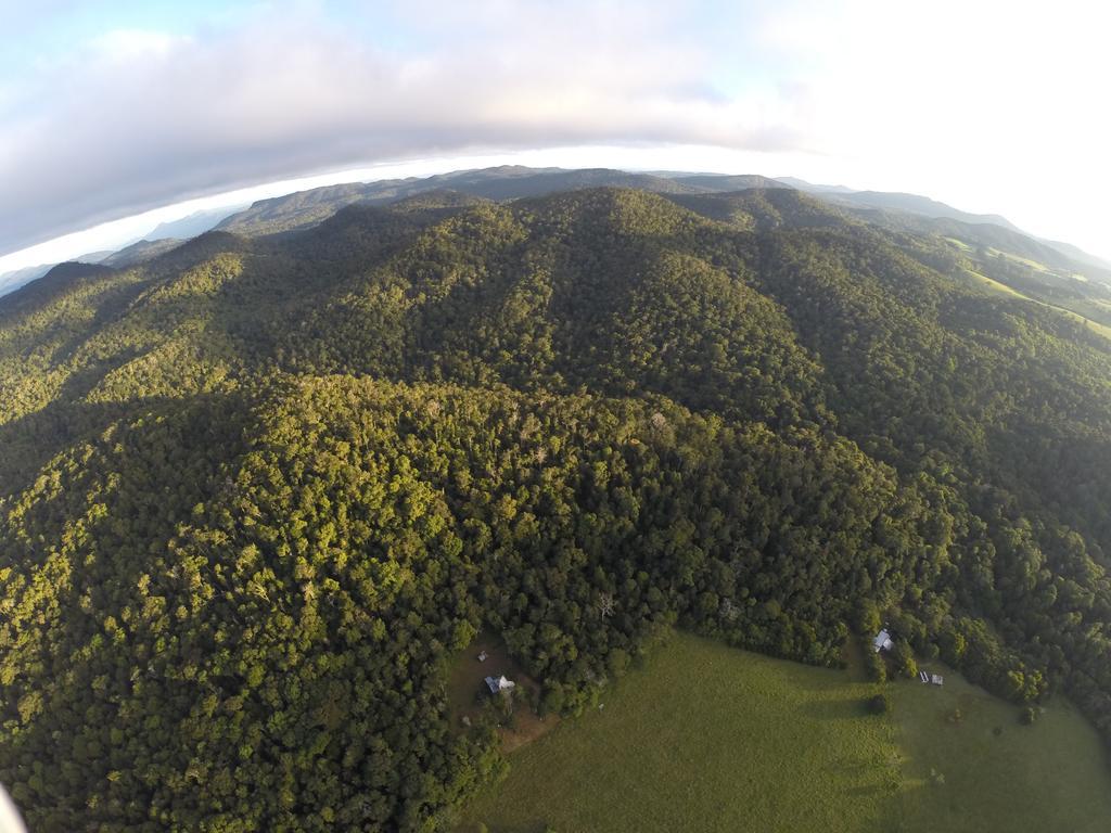 The Jungle Stays Millaa Millaa Exterior foto